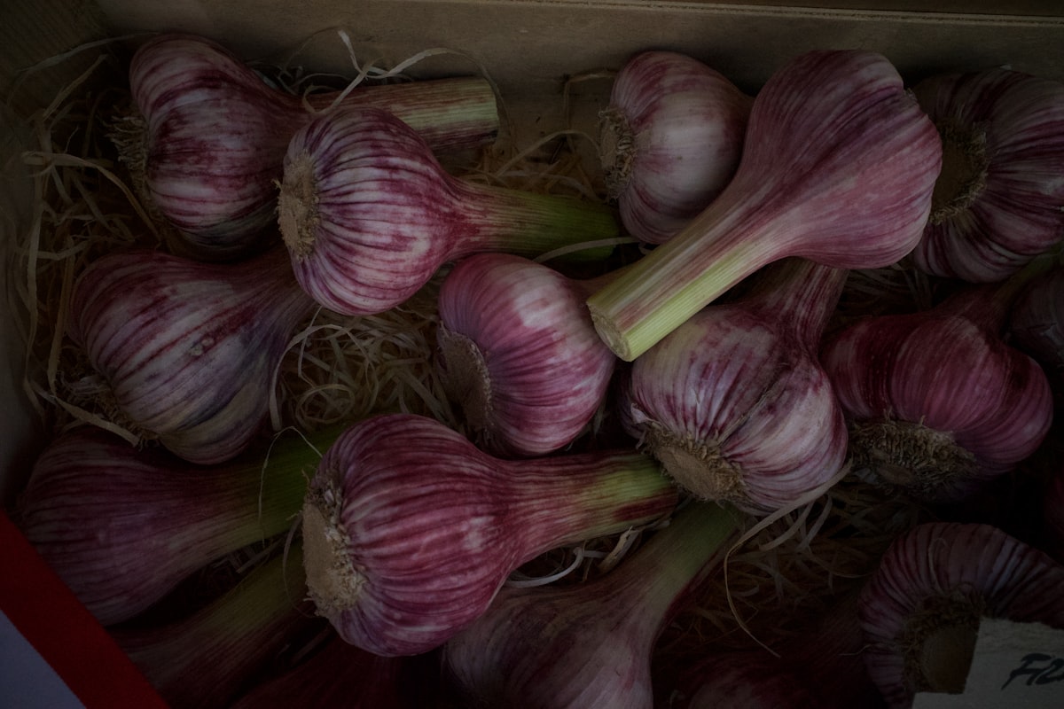 Aglio Affumicato