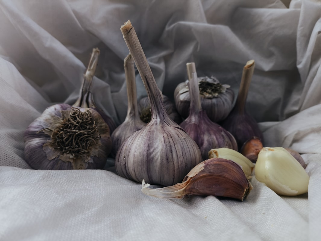 Aglio Giovane Primaverile