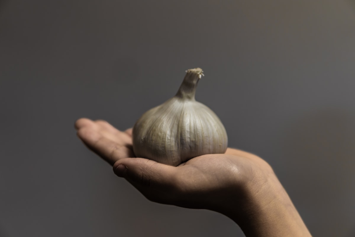 Aglio biologico certificato italiano