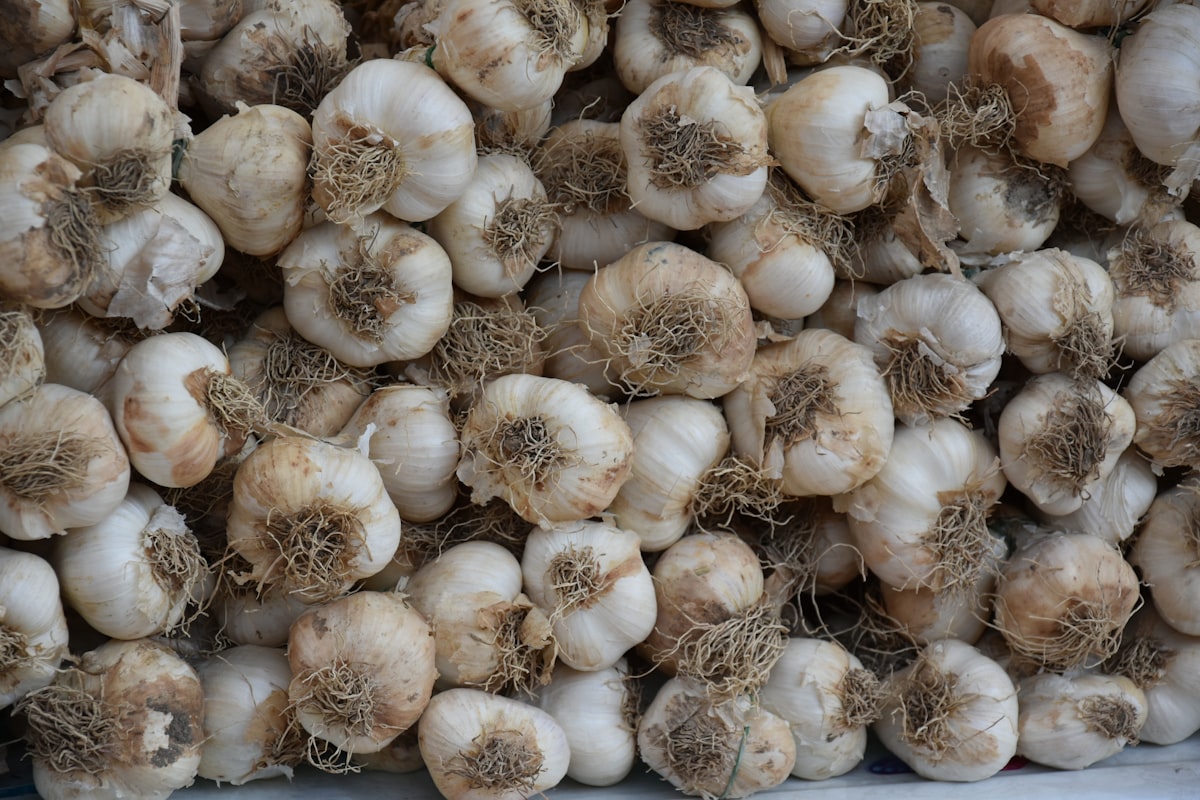 Piatti italiani esaltati dall'aglio